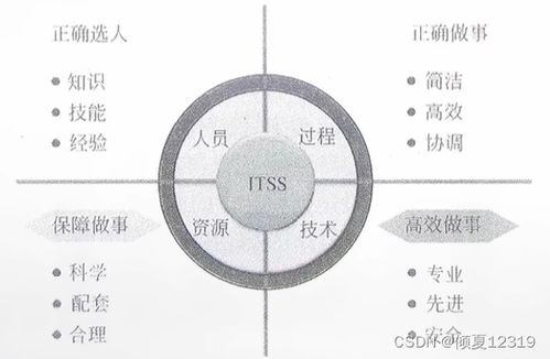 信息系統(tǒng)集成及服務管理 系統(tǒng)集成項目管理工程師的視角